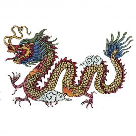 1700/48 Патч термоклеевой силиконовый рельефный ДРАКОН_1